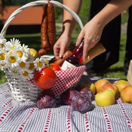 Gosciniec Malinowka فندق مبيت وإفطار