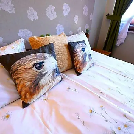Bed & Breakfast Gosciniec Malinowka 3*